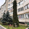 Apartament cu 3 camere, 77 m², Botanica, dat in exploatare! thumb 3