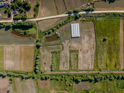 Teren agricol 3,5 ha + sere performante și lac – oportunitate unică!
