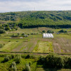 Teren agricol 3,5 ha + sere performante și lac – oportunitate unică! thumb 4