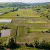 Teren agricol 3,5 ha + sere performante și lac – oportunitate unică! thumb 6