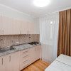 Apartament cu 1 cameră de vânzare în Telecentru – str. Miorița 5/2. thumb 5