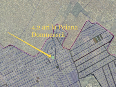 Vânzare teren pentru construcții în Poiana Domnească, lângă pădure, 4,2 ari.