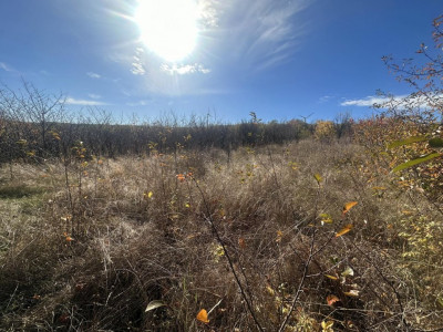 Участок под строительство в продаже в Трушенах!