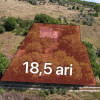 Teren 18,5 ari Sîngera imaginea mica 3 Teren 18,5 ari Sîngera thumb 3