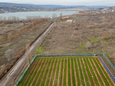 De vânzare Teren 10 ari pe malul lacului Dănceni. 