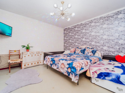 Квартира с 2 комнатами, Чеканы, ул. Алеку Руссо, серия 143.