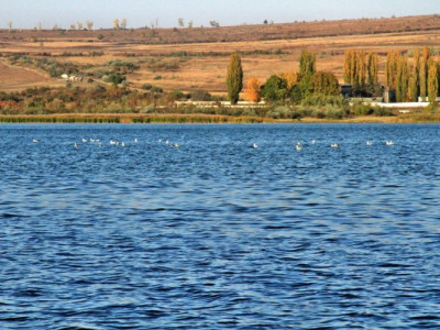 Продается земельный участок площадью 14,5 сотки, на берегу озера Гидигич.