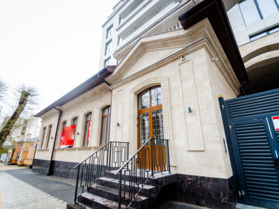 Ultracentru! Vânzare spațiu comercial, 700mp, 2 niveluri + terasă!Variantă albă!